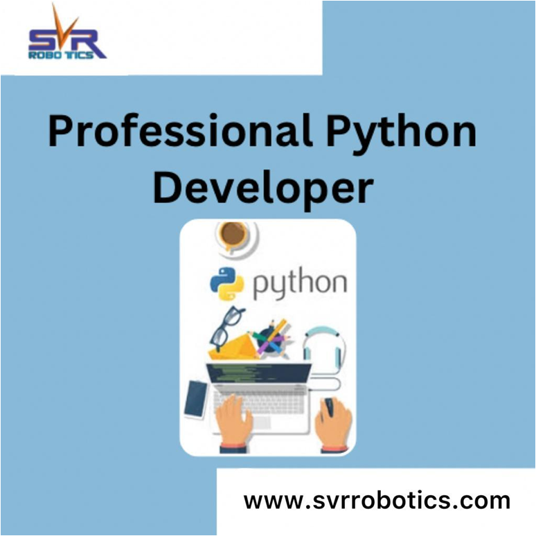 Professional Python Developer
